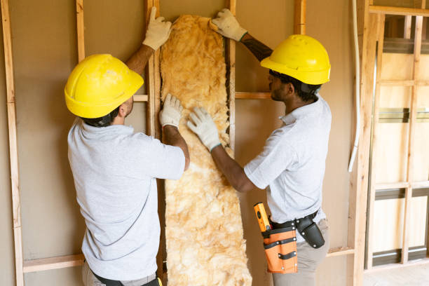 Eco-Friendly or Green Insulation Solutions in Hebbronville, TX